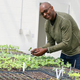 Image for article titled 7 Urban Farmers You Should Know
